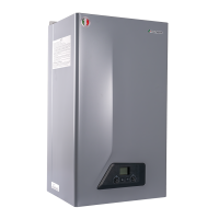 Настенный газовый котел Italtherm City Class 25 FR Gray Flame
